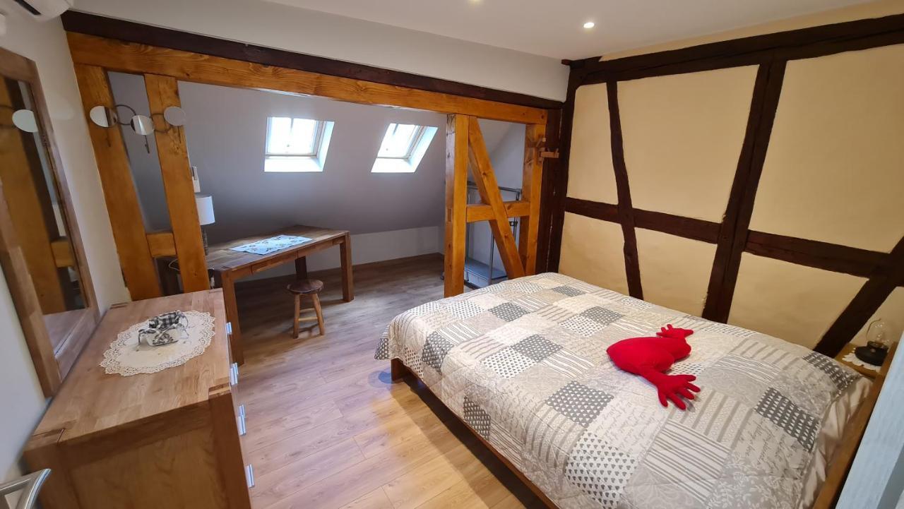 Appartement duplex climatisé avec terrasse HANSI Colmar Extérieur photo